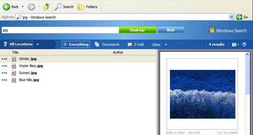 Windows Search