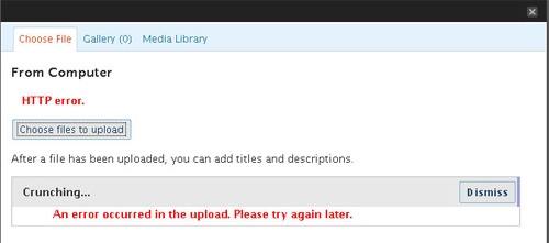 Wp error