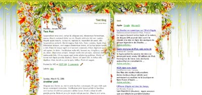 Colibri