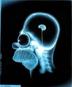 Brain Training Online
