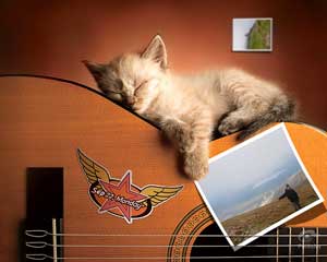 Photojoy: Come creare un mosaici fotografici, screensaver 3D e Desktop widget!