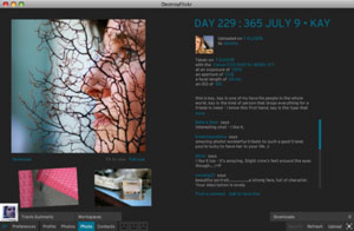 DestroyFlickr: Una fantastica applicazione Flickr AIR! - 