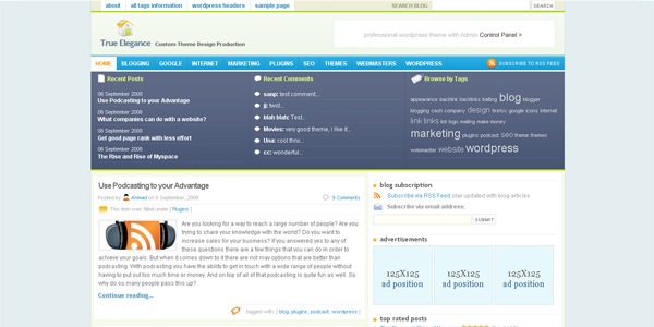 true-wordpress-theme