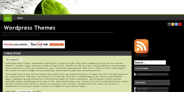 lemon-wordpress-theme