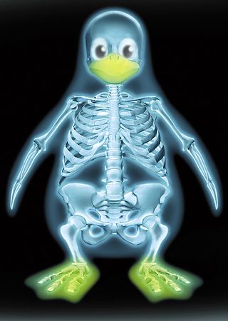 pingouin-linux
