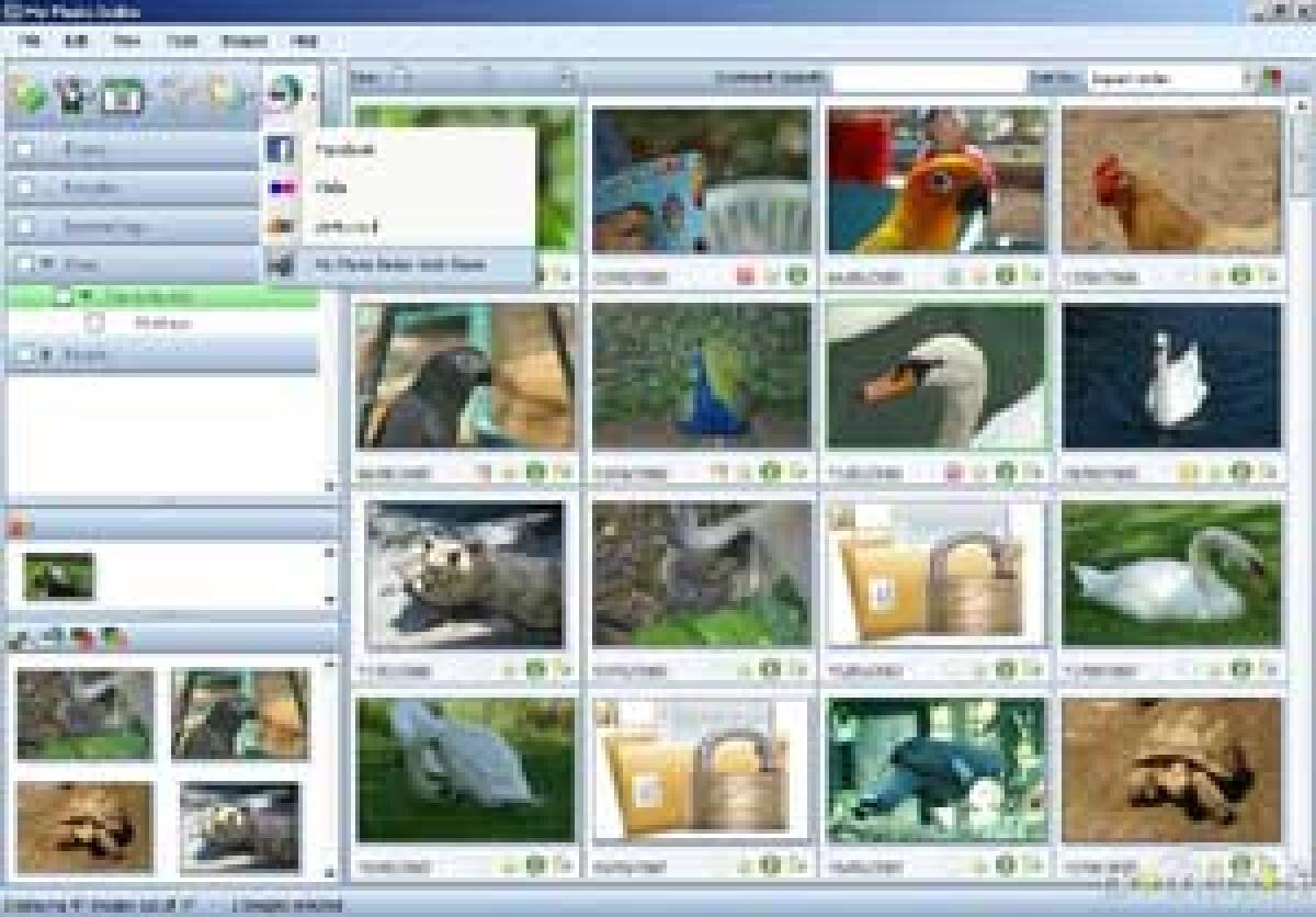 Foto per siti e spazi web in un click! - 