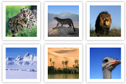 creare-miniature-immagini-e-foto-su-sito