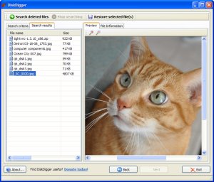 Recupera i file eliminati con DiskDigger