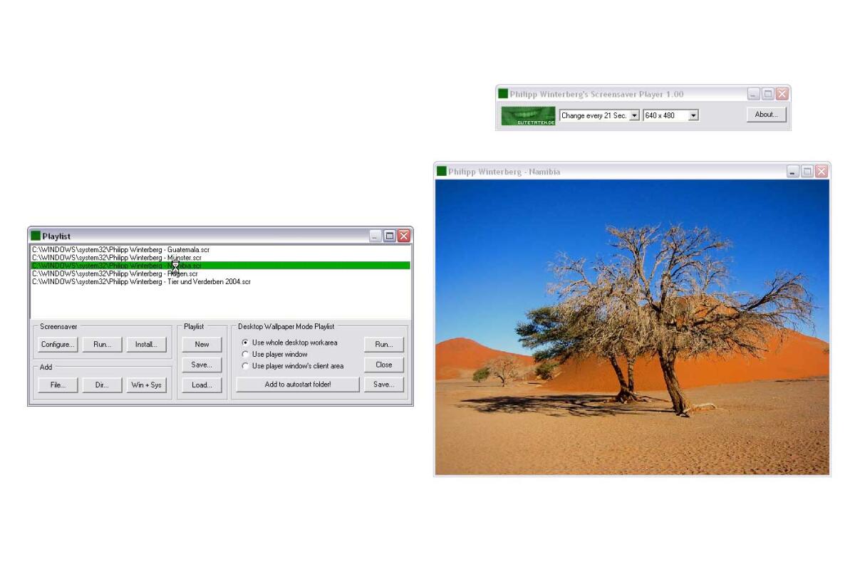 Provare screensaver in anteprima - 