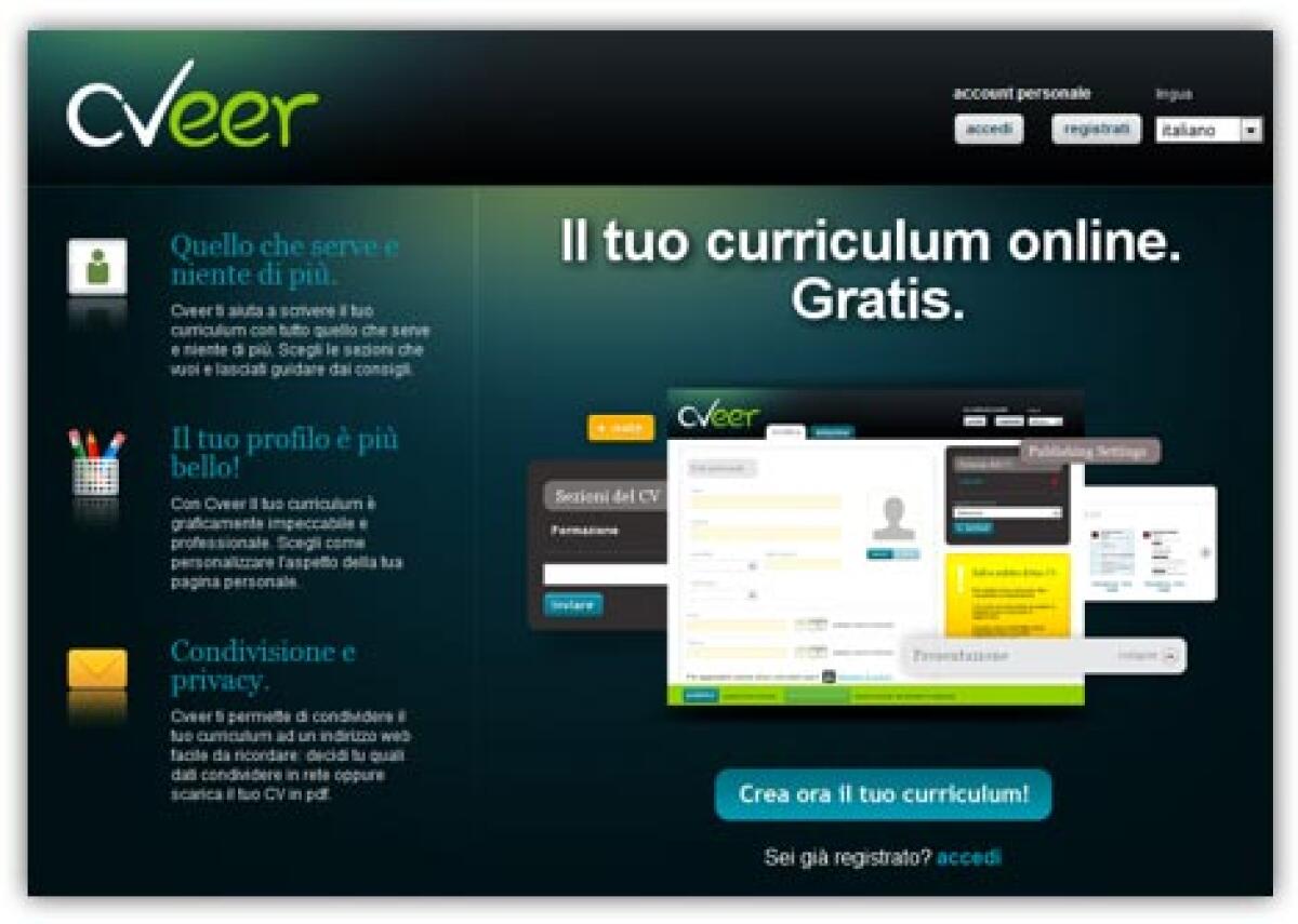 Curriculum vitae online - 
