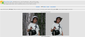 Estrarre immagini con Picture Cutout Guide Lite