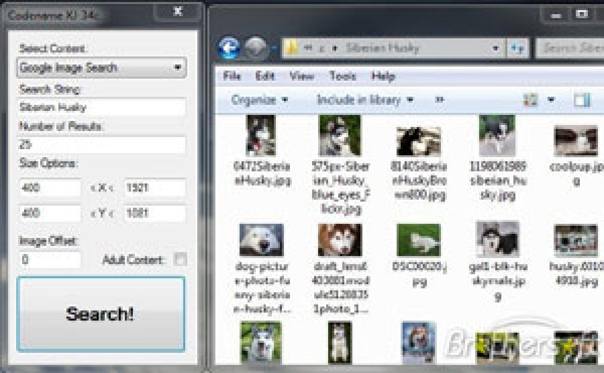 Download immagini gratis con Mediarachnid - 