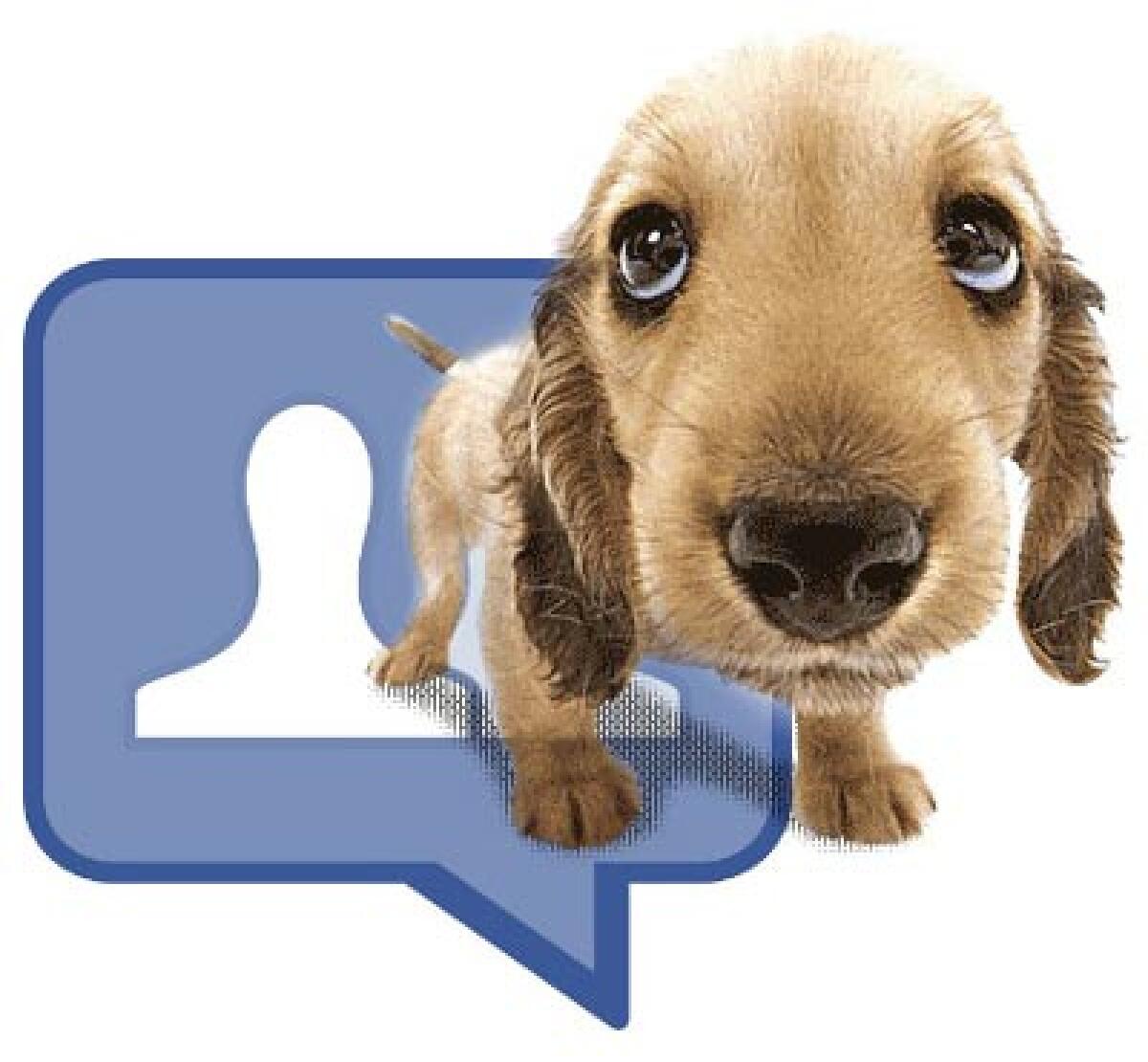 Facebook dalla parte degli animali - 