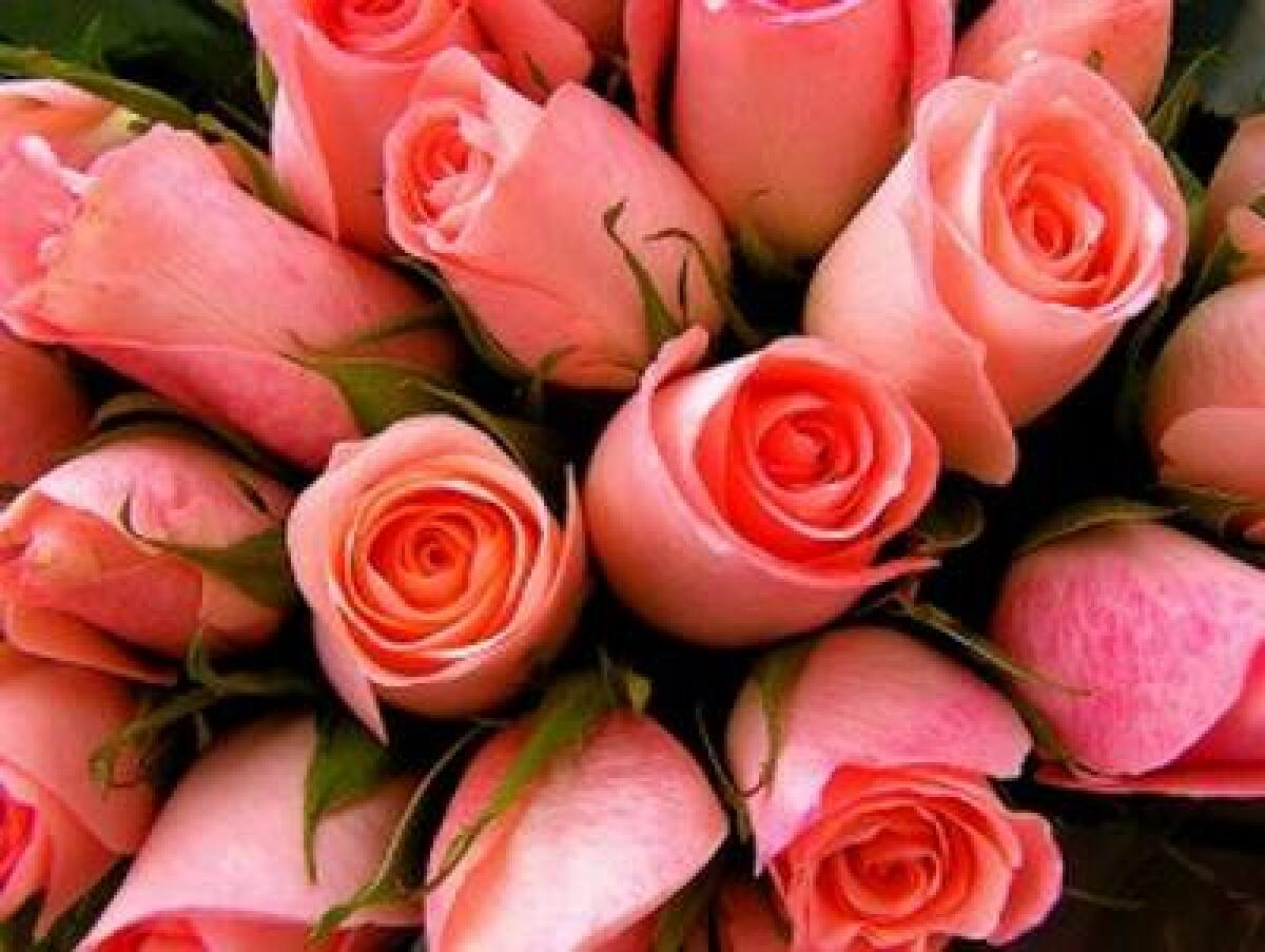 Cartoline virtuali per San Valentino - 