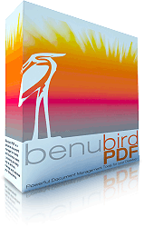 Benubird PDF