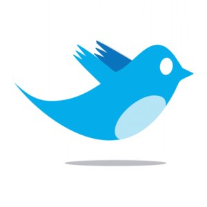 Gestione Twitter dal desktop