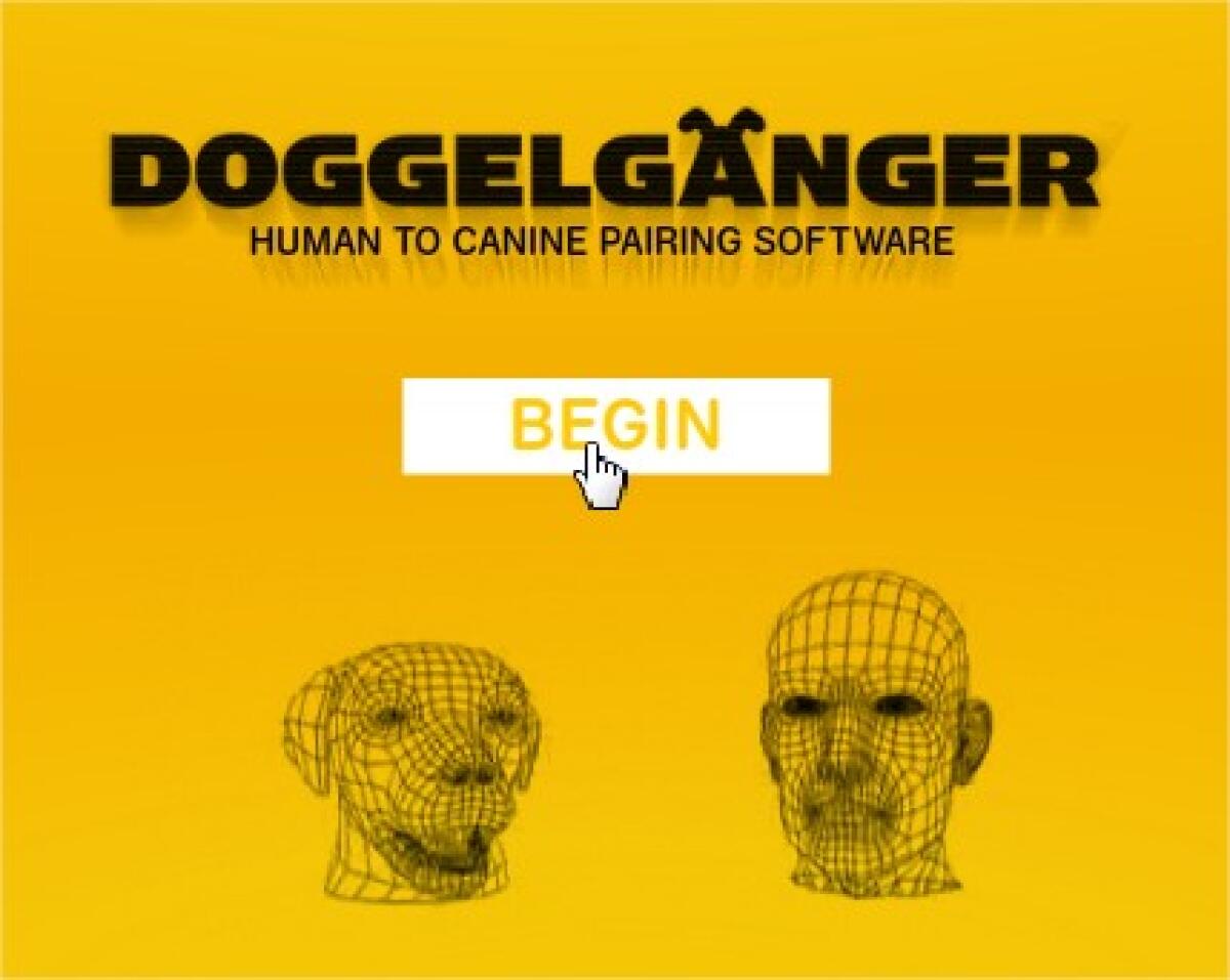 Doggelganger: la somiglianza tra cane e padrone - 