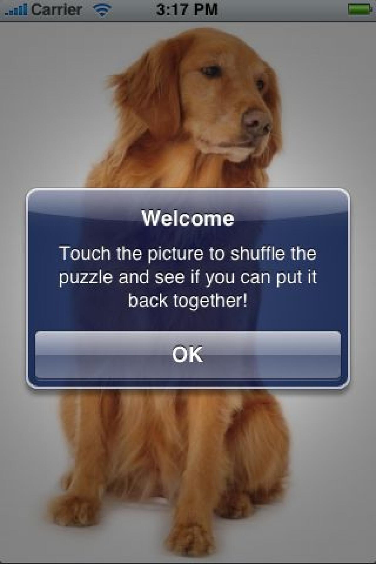 Applicazione dedicata ai Golden Retriver - 