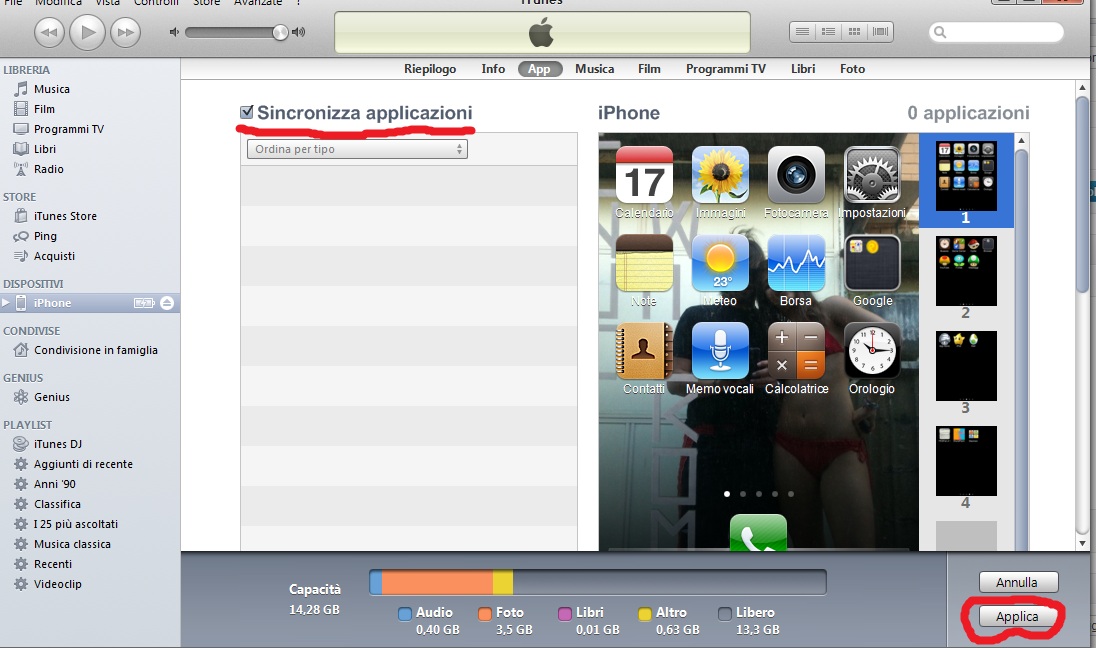 guida iphone