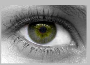 tutorial photoshop