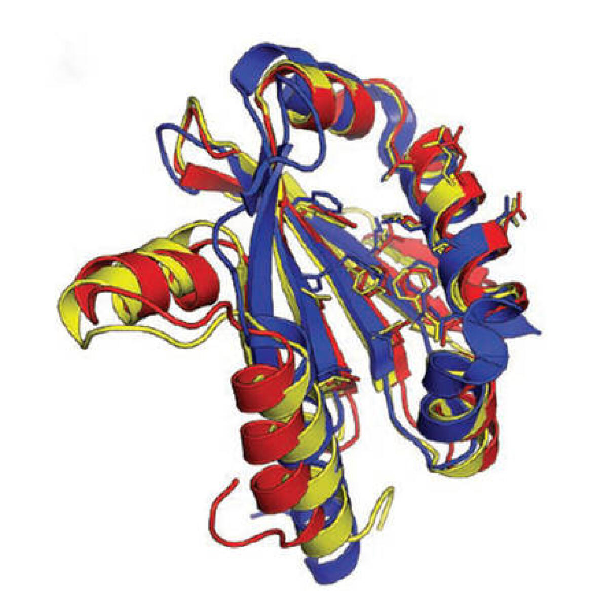 Tramite un Videogame si scopre una proteina - 