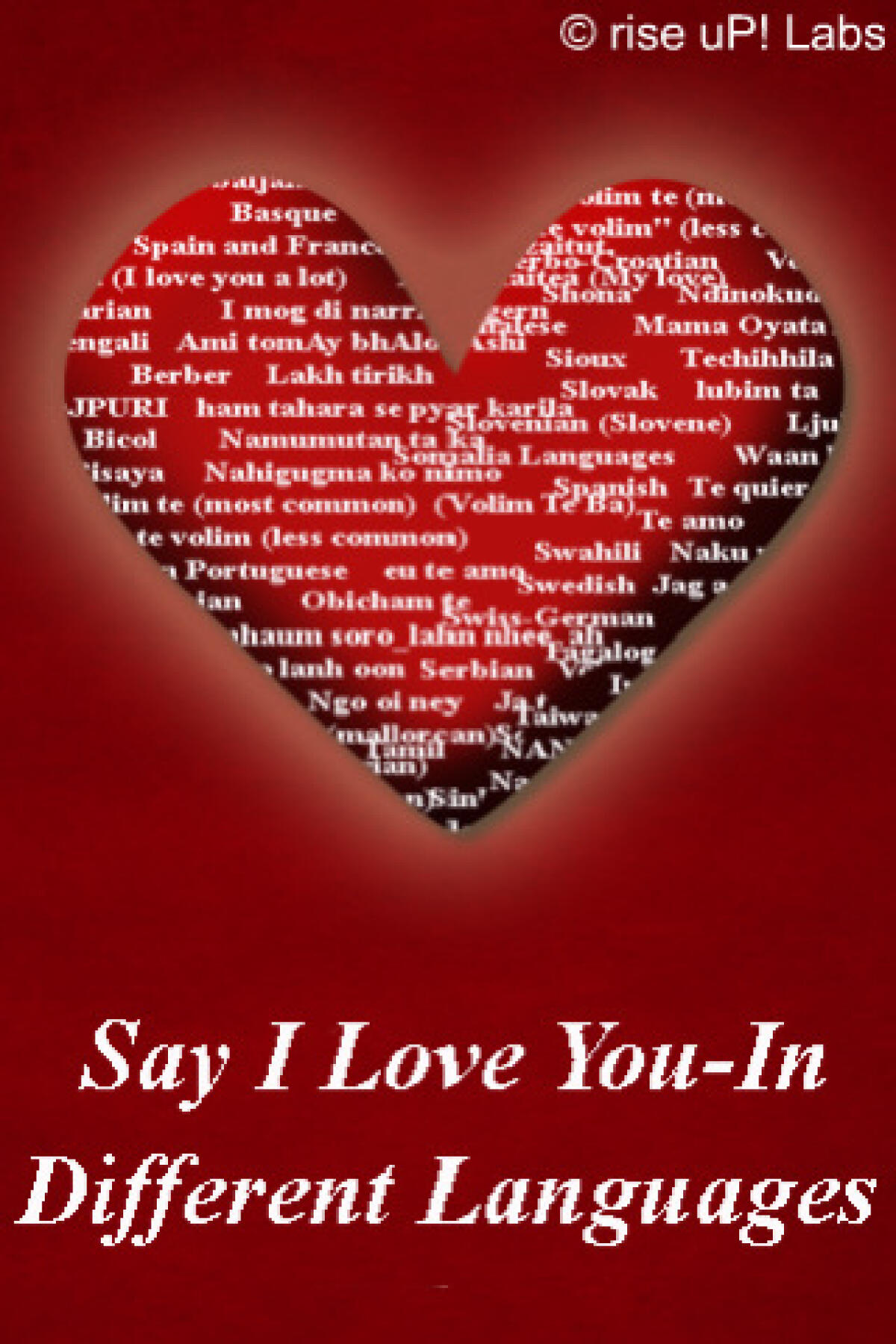 Ti amo in tutte le lingue del mondo, Say I Love U - 