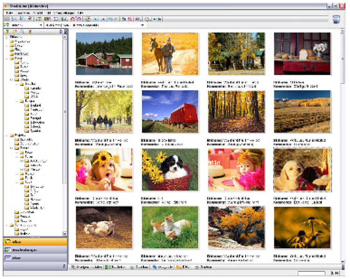 Modificare foto con Photo Basic 3 - 