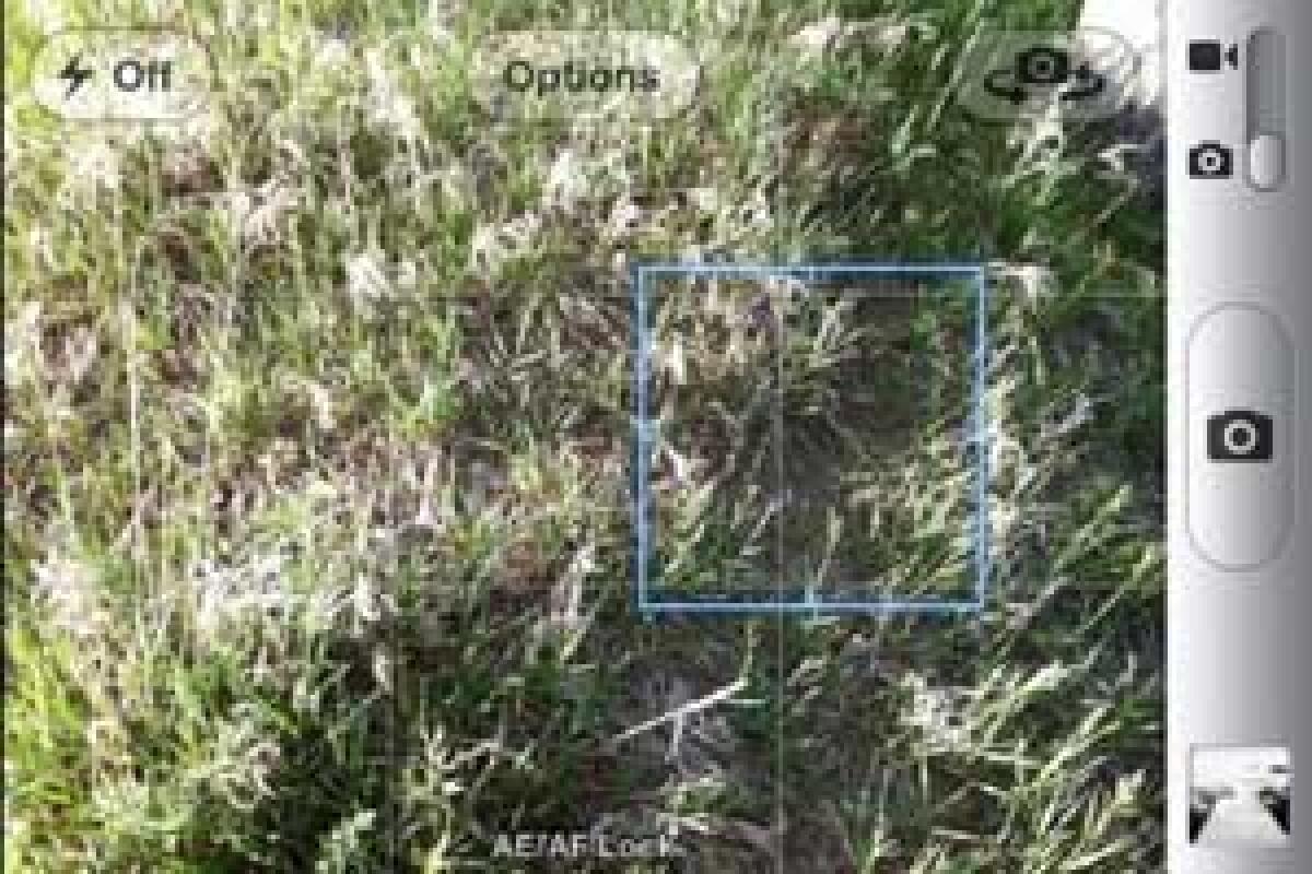 Come scattare foto perfette iPhone - Consigli utili - 