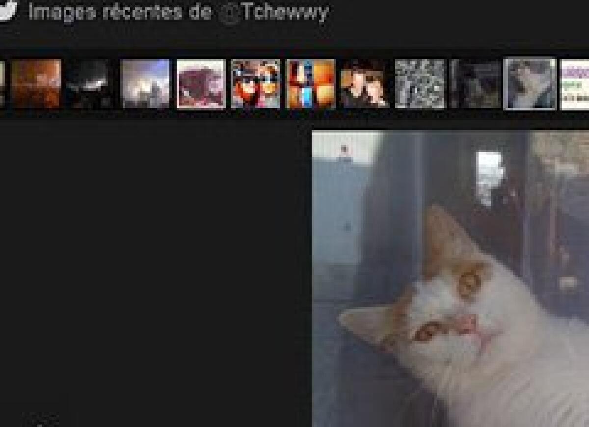 Twitter e l’estensione per attivare miniature - 