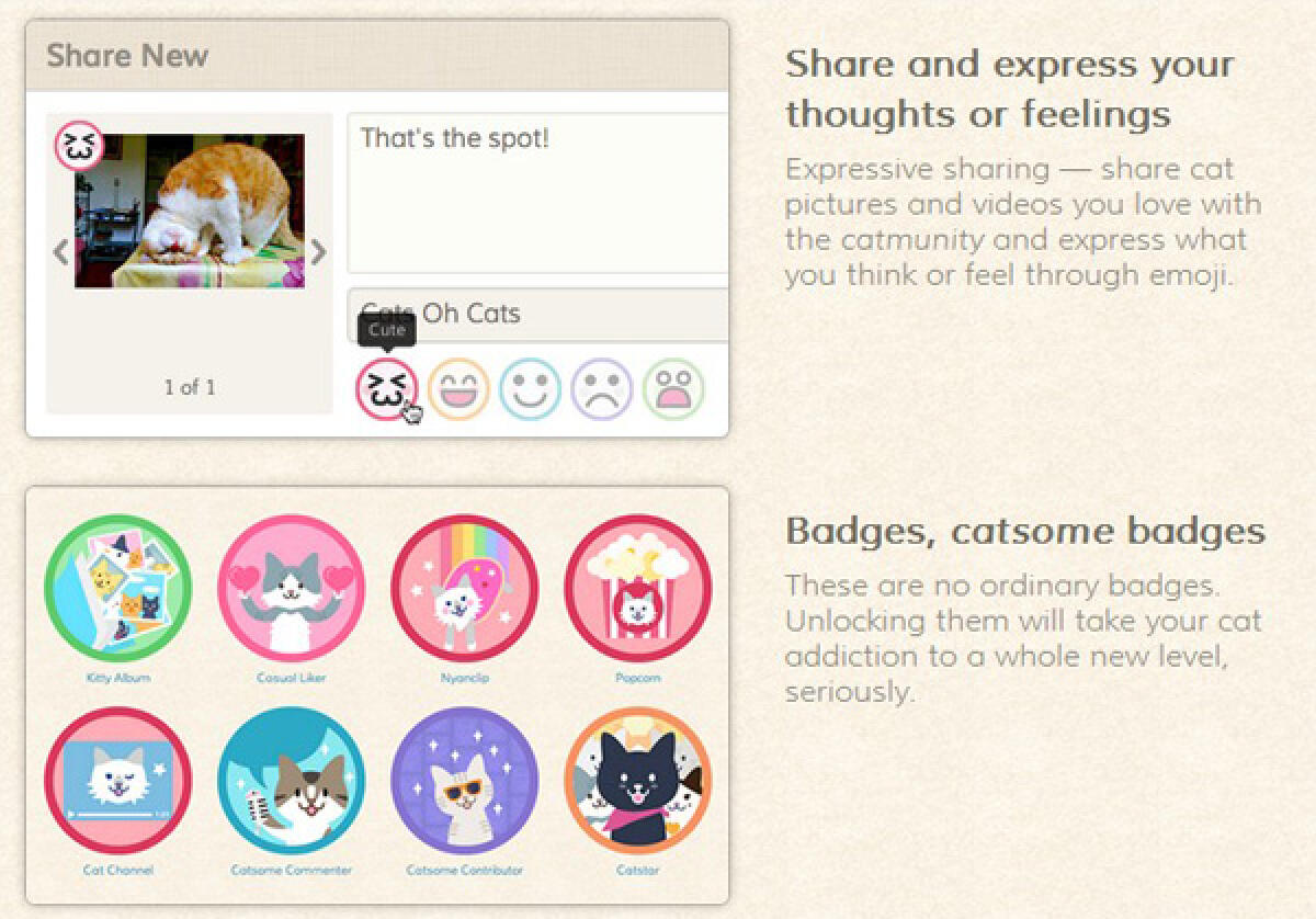 Catmoji, ecco il social network dedicato ai gatti - 