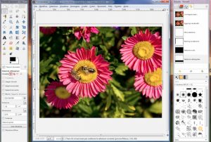 gimp112