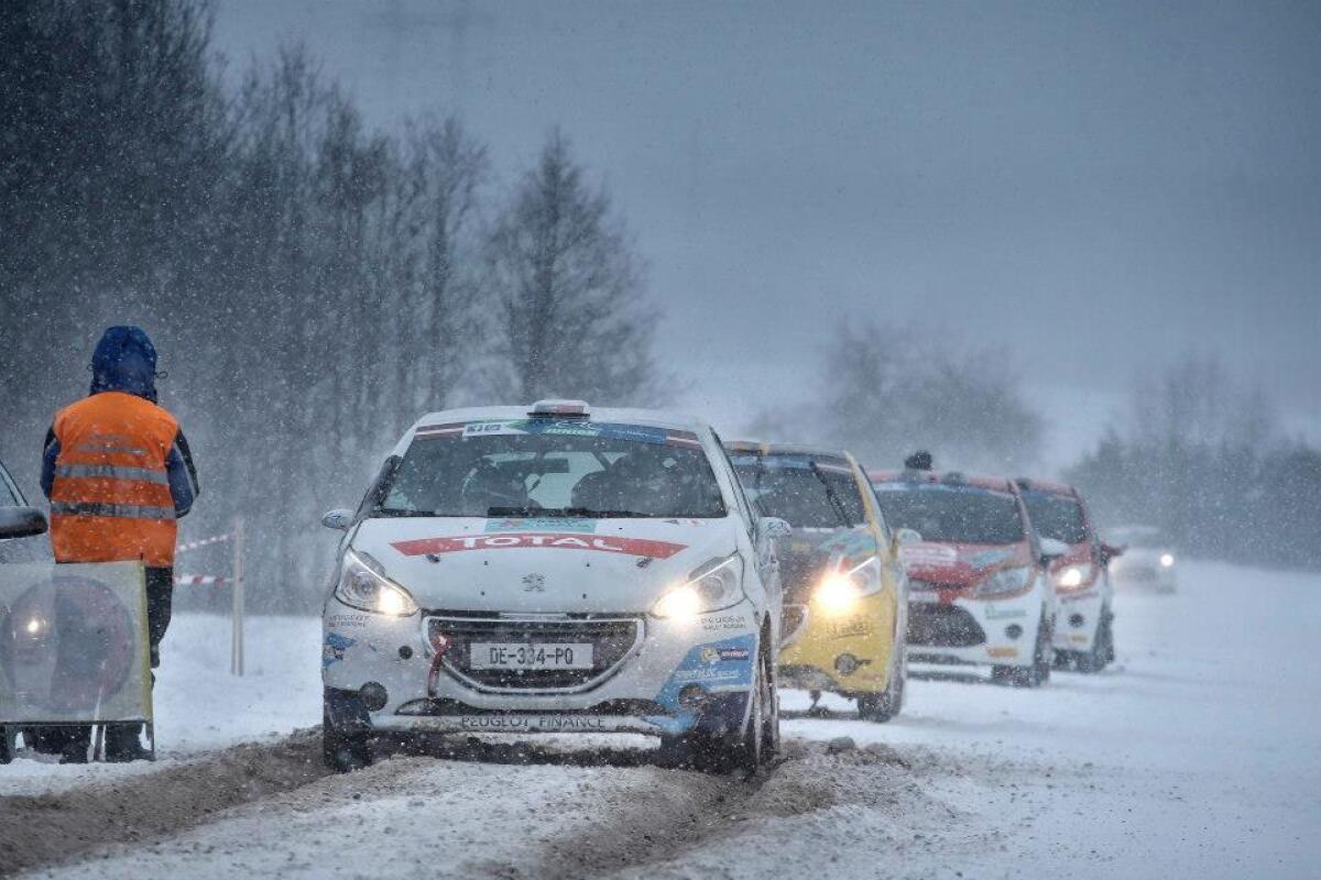 L'opinione: ERC e CIR, quando a salire in cattedra sono gli Junior - 