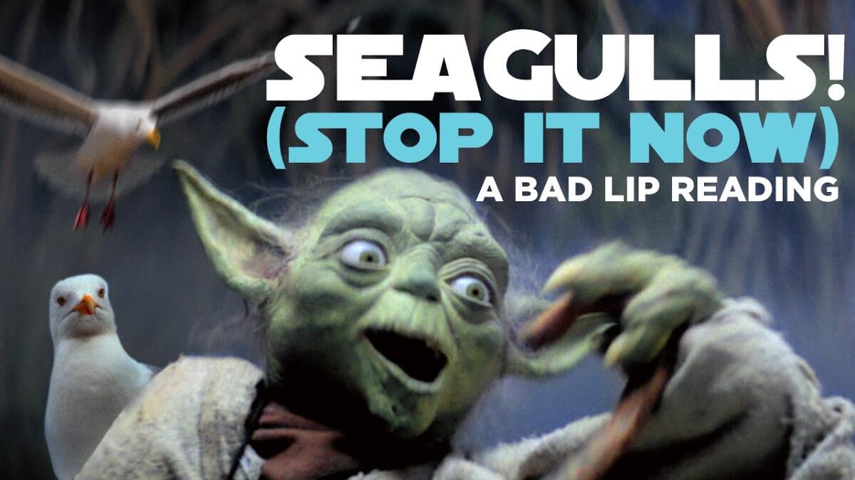 Il video musicale di Star Wars e il Nonsense - La hit Seagulls! (Stop it now)