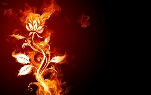 Frasi e pensieri sul fuoco