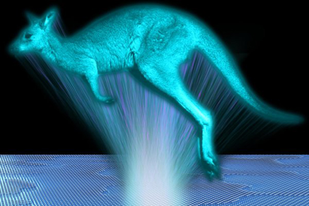 Gli incredibili risultati dei test sull'immagine di un canguro. Fonte: Lei Wang, ANU