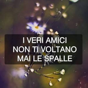 veri amici