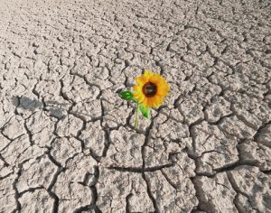lettera depressione
