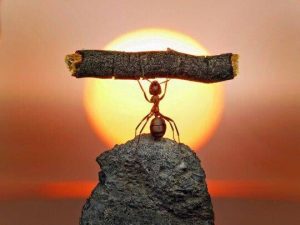Frasi per motivare a perdere peso
