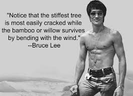 aforismi Bruce Lee