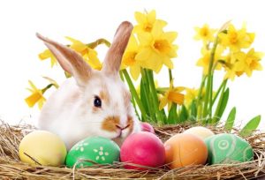 Buona Pasqua Tante Frasi