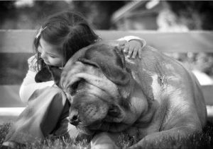 aforismi citzioni belle cani
