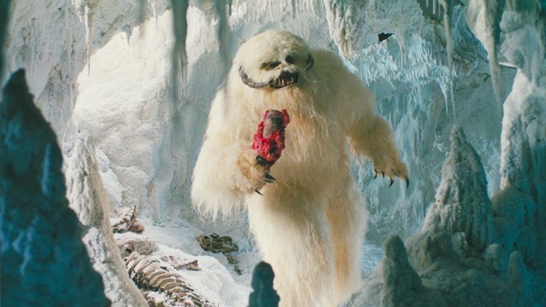 Il famoso Wampa di Episodio V.Da: starwars.com