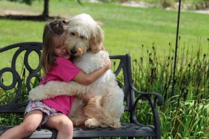 Le più belle frasi di tutti i tempi dedicate ai cani