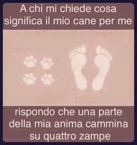 Frasi, aforismi, citazioni e slogan contro l'abbandono dei cani