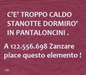 Frasi, aforismi e citazioni sulle zanzare