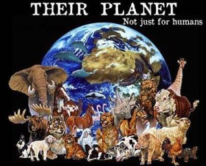 Frasi, aforismi e citazioni sui diritti degli animali