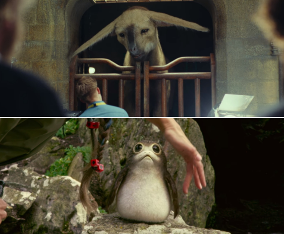 Tanti nuovi alieni in The Last Jedi.Da: youtube