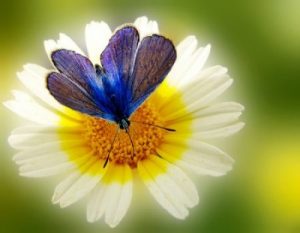 Frasi di gratitudine e apprezzamento