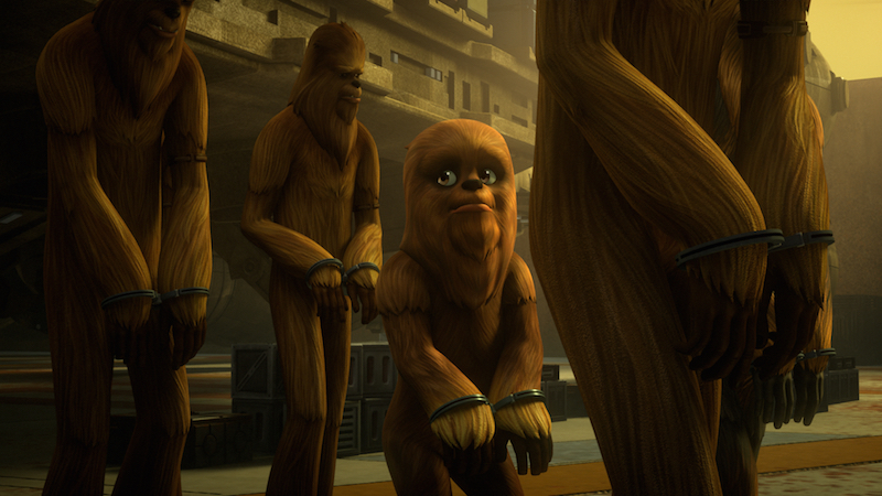 Un gruppo di Wookiee schaivi su Kessel in Star Wars Rebels.