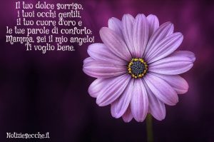 frasi per la mamma belle
